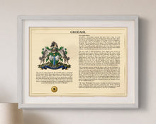 
Carica l'immagine nel visualizzatore di Gallery, Light Grey frame, A3: Framed Heritage Edition close-up (illustrative mockup)