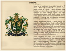 
Carica l'immagine nel visualizzatore di Gallery, Sample Last Name Origin PDF — The Byrne Family — dense Standard layout, coat of arms left, surname history right — Herald Lab SAMPLE