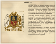 
Carica l'immagine nel visualizzatore di Gallery, Muestra PDF Estándar — Familia García: historia del apellido y escudo asociado (muestra Herald Lab)