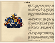 
Carica l'immagine nel visualizzatore di Gallery, Beispiel PDF Standard — Familie Novak: Nachnamensgeschichte und zugeordnetes Wappen (Beispiel Herald Lab)