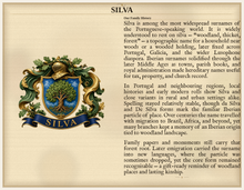 
Carica l'immagine nel visualizzatore di Gallery, Sample Last Name Origin PDF — The Silva Family — dense Standard layout, coat of arms left, surname history right — Herald Lab SAMPLE